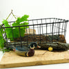 Wald Basket: 137 MEDIUM (Silver or Black)