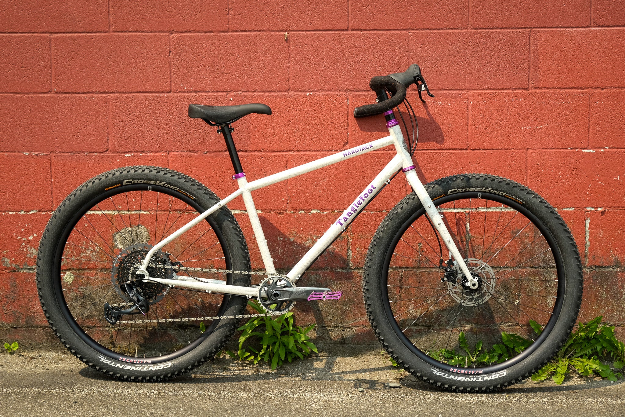 analog cycles hardtack tanglefoot フレーム L TANGLEFOOT* hardtack frame set (slate grey) - BLUE LUG