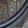 Velocity Blunt 35 Rim