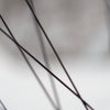 Sapim CX-Ray Spokes