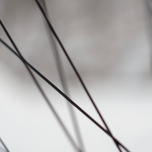 Sapim CX-Ray Spokes