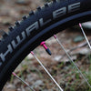 Sapim CX-Ray Spokes