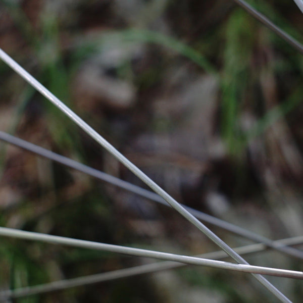 Sapim CX-Ray Spokes