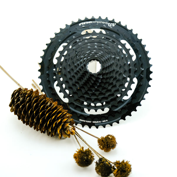 E 13 TRS Plus 9-46T 11 Speed and 12 Speed Cassettes