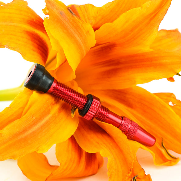 readyMADE Tubeless Valves