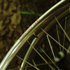 Velocity Blunt 35 Rim