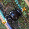 Paul Component Quick Release