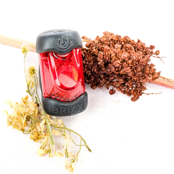 Busch and Muller BR-IXXI Rechargeable Taillight