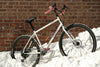 Tanglefoot Hardtack Medium Demo (Rival / GX / 29" Wheels)