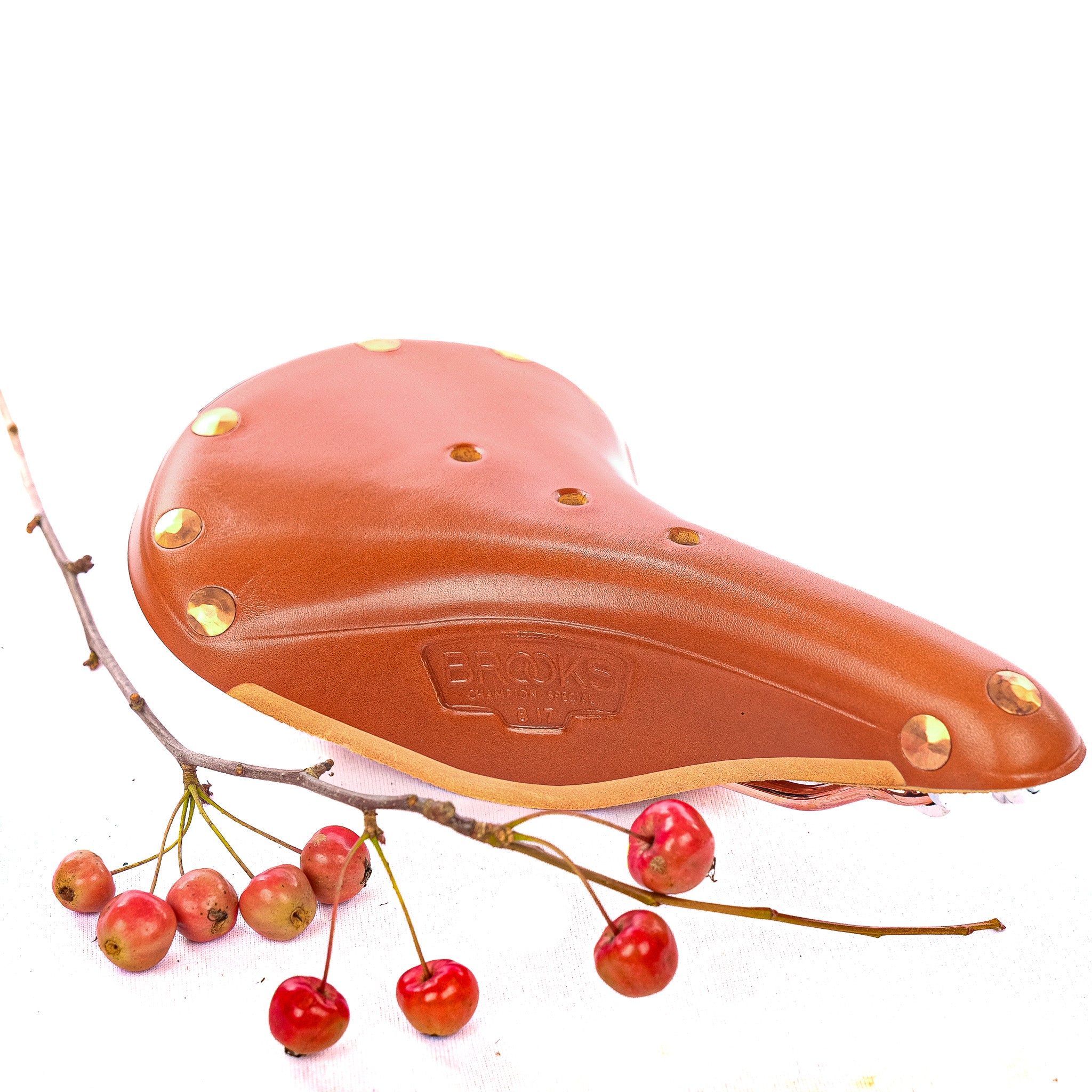 BROOKS Champion Special サドル B17 B17 Special, the premium leather bike saddle - Brooks England