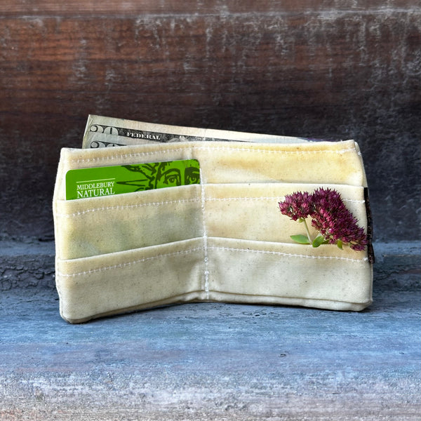 A cream colored wallet with a maroon colored seedum flower and a green card in one of the slotst, with a twnety dollar bill sticking out of the top