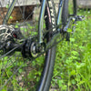 Tanglefoot Moonshiner Medium Demo (Singlespeed)