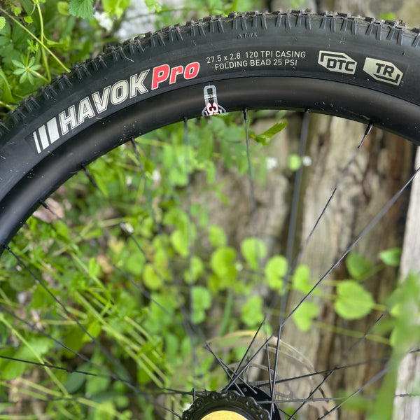 Tanglefoot Moonshiner Medium Demo (Singlespeed)