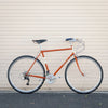 Rivendell Roadini Lugged Framesets