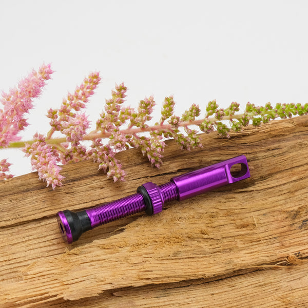 Discord Earthworm Tubeless Valves