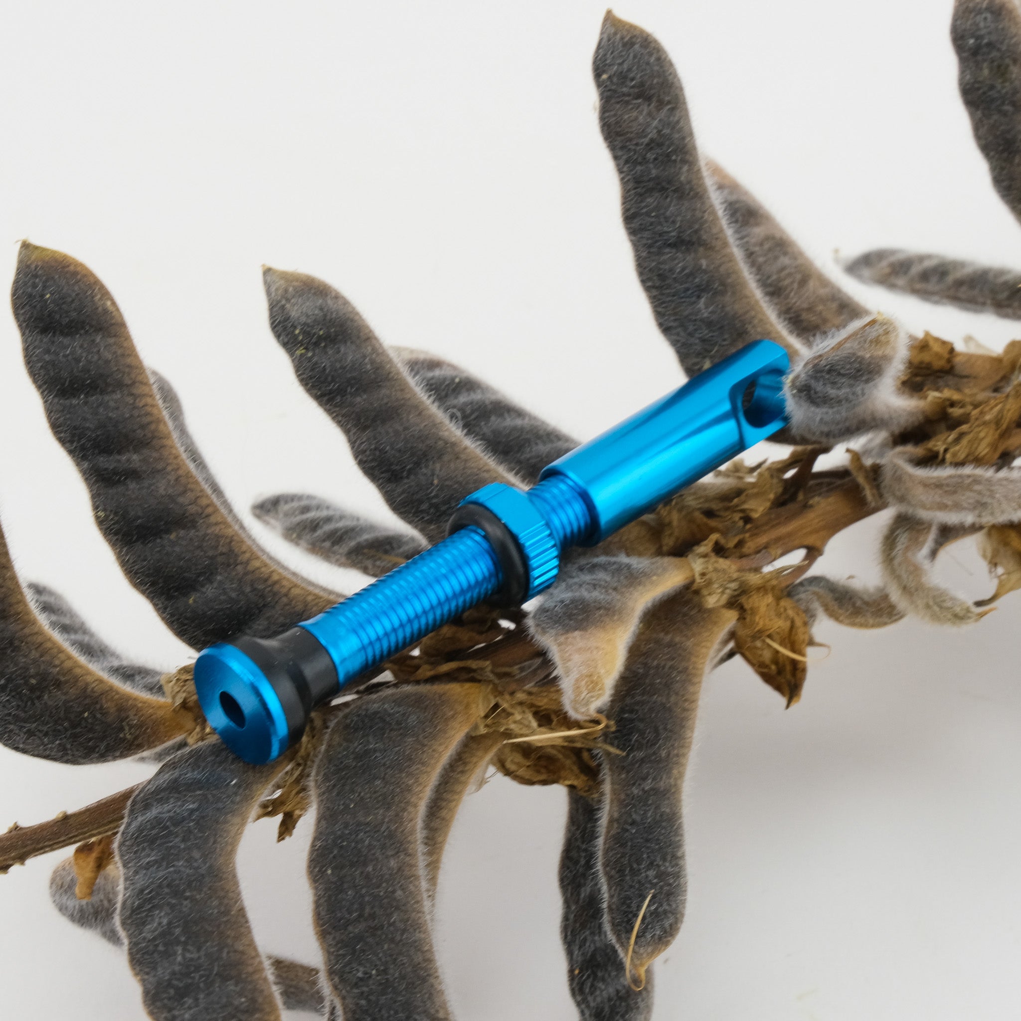 Discord Earthworm Tubeless Valves