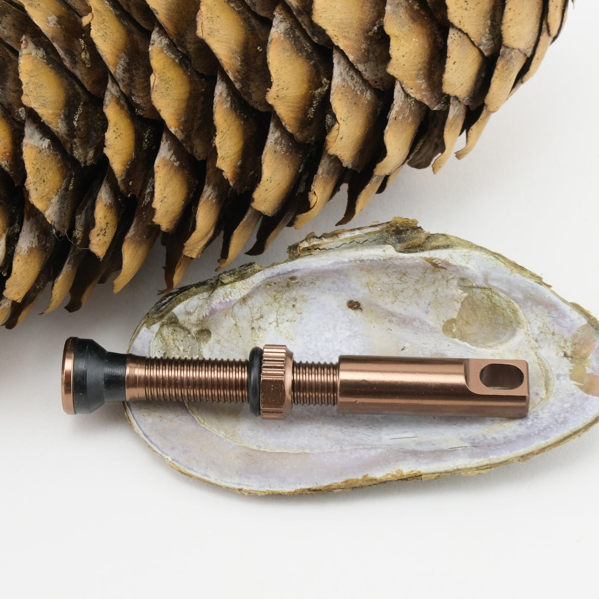 Discord Earthworm Tubeless Valves